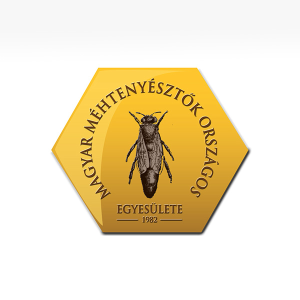 Webdesign,webdesigner,CMS,Webgestaltung,bessere Webseite